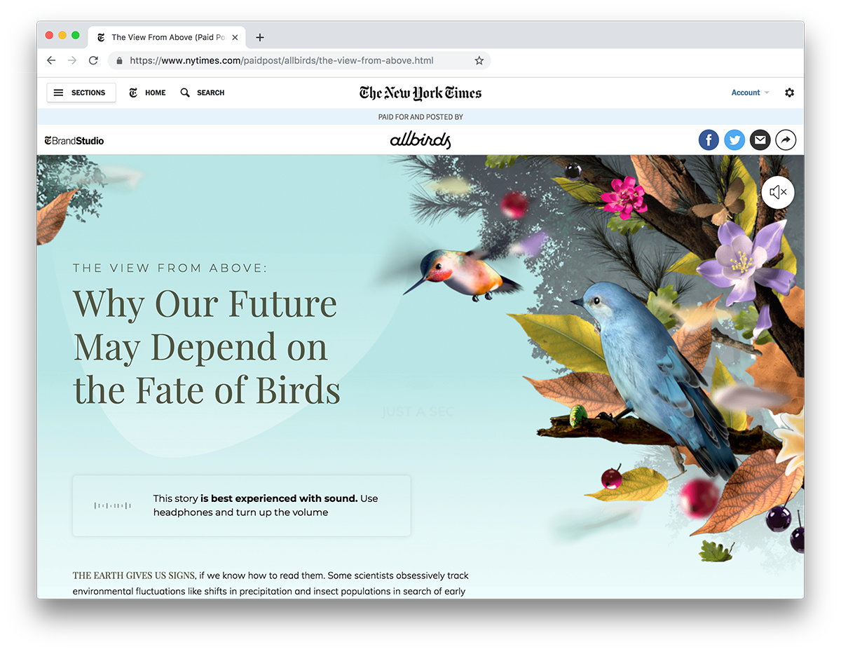 Customer Journey No. 1 Allbirds 2 Years & 885.21 The Customer